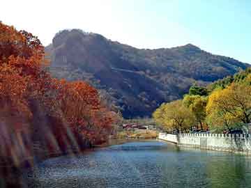 澳门二四六天天彩图库，乡村小子闯都市